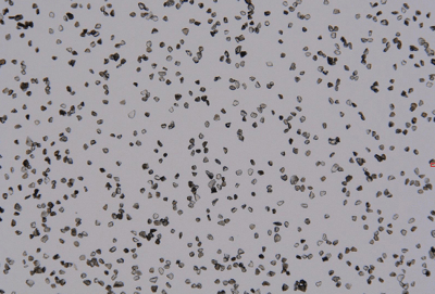 Micron-Sized Cubic Boron Nitride (CBN) Market Forecast and Outlook